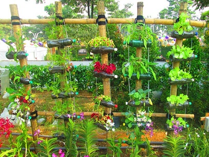 Beautiful backyard vertical garden