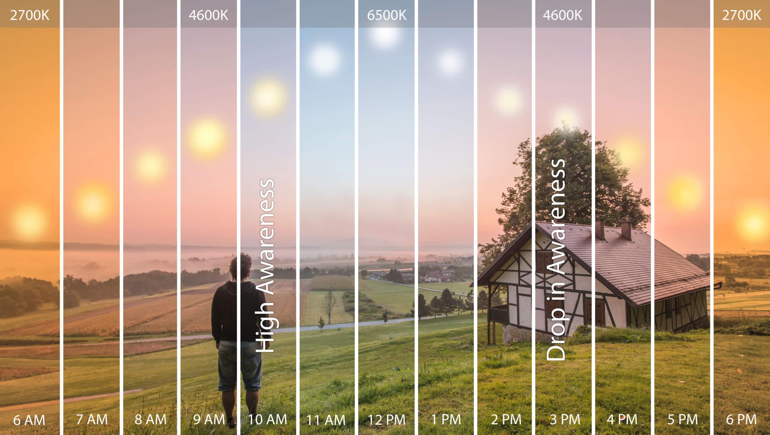 Circadian Lighting every hour of the day